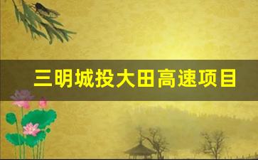 三明城投大田高速项目_大田至安溪高速开工时间