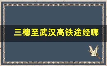 三穗至武汉高铁途经哪几站