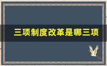 三项制度改革是哪三项_国有企业三项制度改革的内容