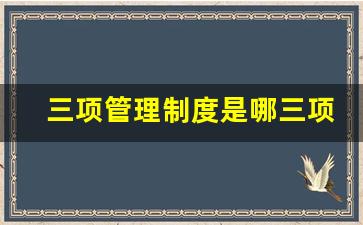 三项管理制度是哪三项_三个责任三项制度