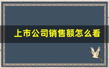 上市公司销售额怎么看销售额_千牛怎么看个人销售额