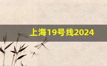 上海19号线2024年开建