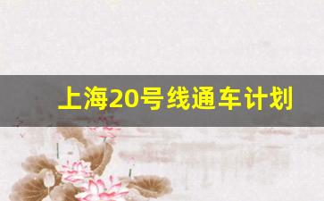 上海20号线通车计划_上海地铁26号线站点公示