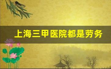 上海三甲医院都是劳务派遣吗_上海劳务派遣公司排行榜