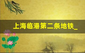 上海临港第二条地铁_2025上海临港地铁规划园区