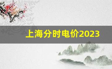 上海分时电价2023_2023工业用电峰谷价格表