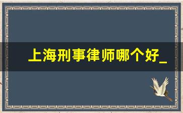 上海刑事律师哪个好_刑事律师事务所哪家好