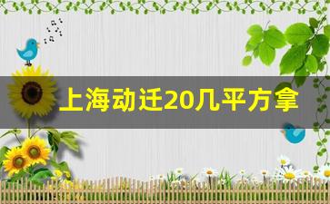 上海动迁20几平方拿500多万