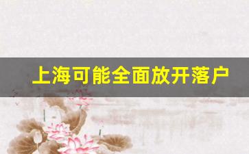 上海可能全面放开落户条件_2024年上海取消居转户条件