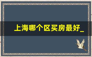 上海哪个区买房最好_外地人在上海买房条件