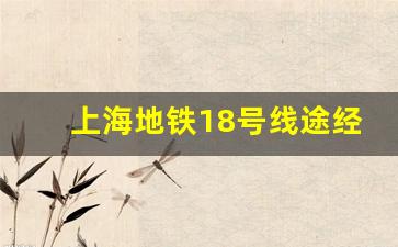 上海地铁18号线途经站点