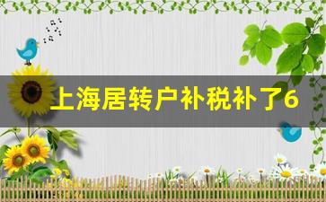 上海居转户补税补了6万多_2024年上海取消居转户条件