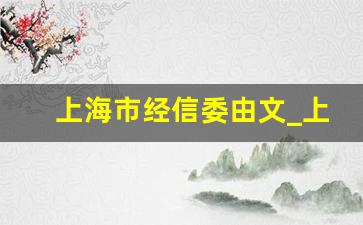 上海市经信委由文_上海市经信委研究中心