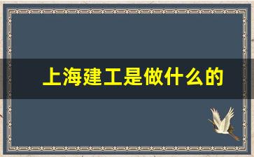 上海建工是做什么的