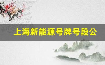 上海新能源号牌号段公布