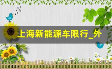 上海新能源车限行_外地新能源车限行的规定