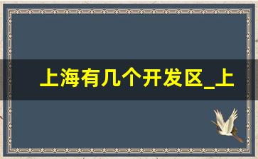 上海有几个开发区_上海经济开发区属于哪个区