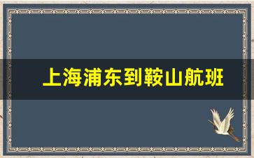 上海浦东到鞍山航班