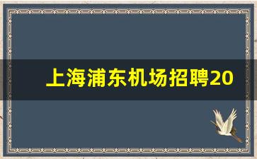 上海浦东机场招聘2023_普工招聘最新招聘信息