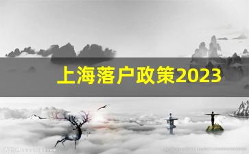 上海落户政策2023年最新版_上海100万能买什么房子