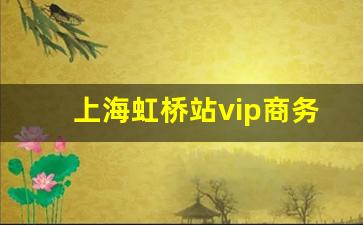 上海虹桥站vip商务通道_上海高铁商务座怎么进站