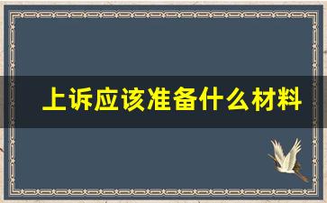 上诉应该准备什么材料