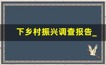 下乡村振兴调查报告_乡村振兴调查报告的写作方法