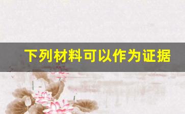 下列材料可以作为证据的有什么_法院不认可相片证据