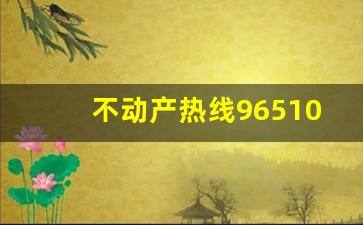 不动产热线96510_全国不动产登记查询系统