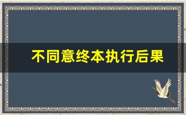 不同意终本执行后果