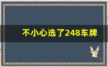 不小心选了248车牌号