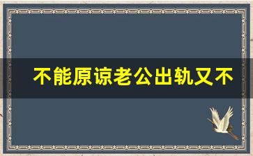 不能原谅老公出轨又不想离婚_丈夫不原谅冷静离婚