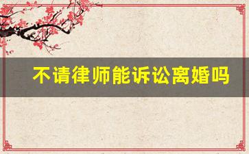 不请律师能诉讼离婚吗_不请律师可以起诉离婚吗