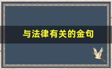 与法律有关的金句