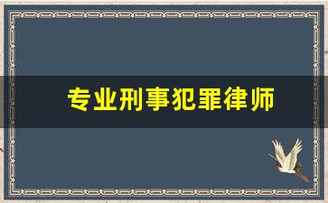 专业刑事犯罪律师