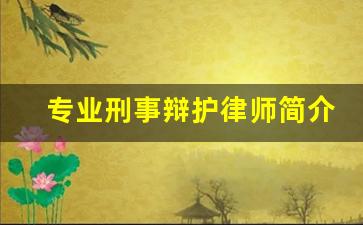 专业刑事辩护律师简介_律师擅长领域介绍