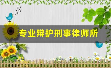 专业辩护刑事律师所