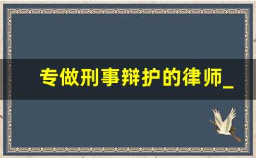 专做刑事辩护的律师_刑事辩护团队律师