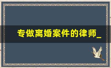 专做离婚案件的律师_专业离婚方面的律师