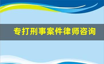 专打刑事案件律师咨询