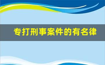 专打刑事案件的有名律师_广州刑事辩护律师团队