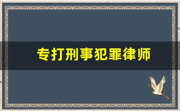 专打刑事犯罪律师