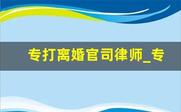 专打离婚官司律师_专业打离婚的律师