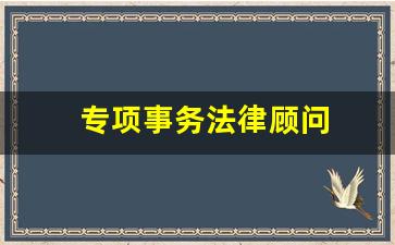 专项事务法律顾问