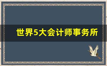 世界5大会计师事务所_大信会计师事务所是八大吗