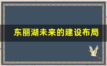 东丽湖未来的建设布局_东丽湖未来大项目