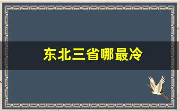 东北三省哪最冷