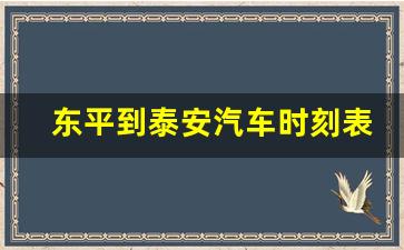 东平到泰安汽车时刻表/汽车票查询