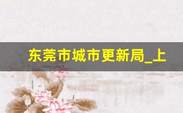 东莞市城市更新局_上海市城市更新中心主任