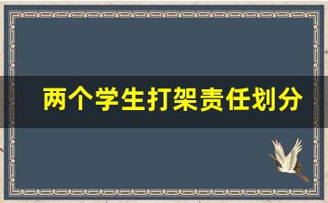 两个学生打架责任划分_两个学生打架属于什么行为